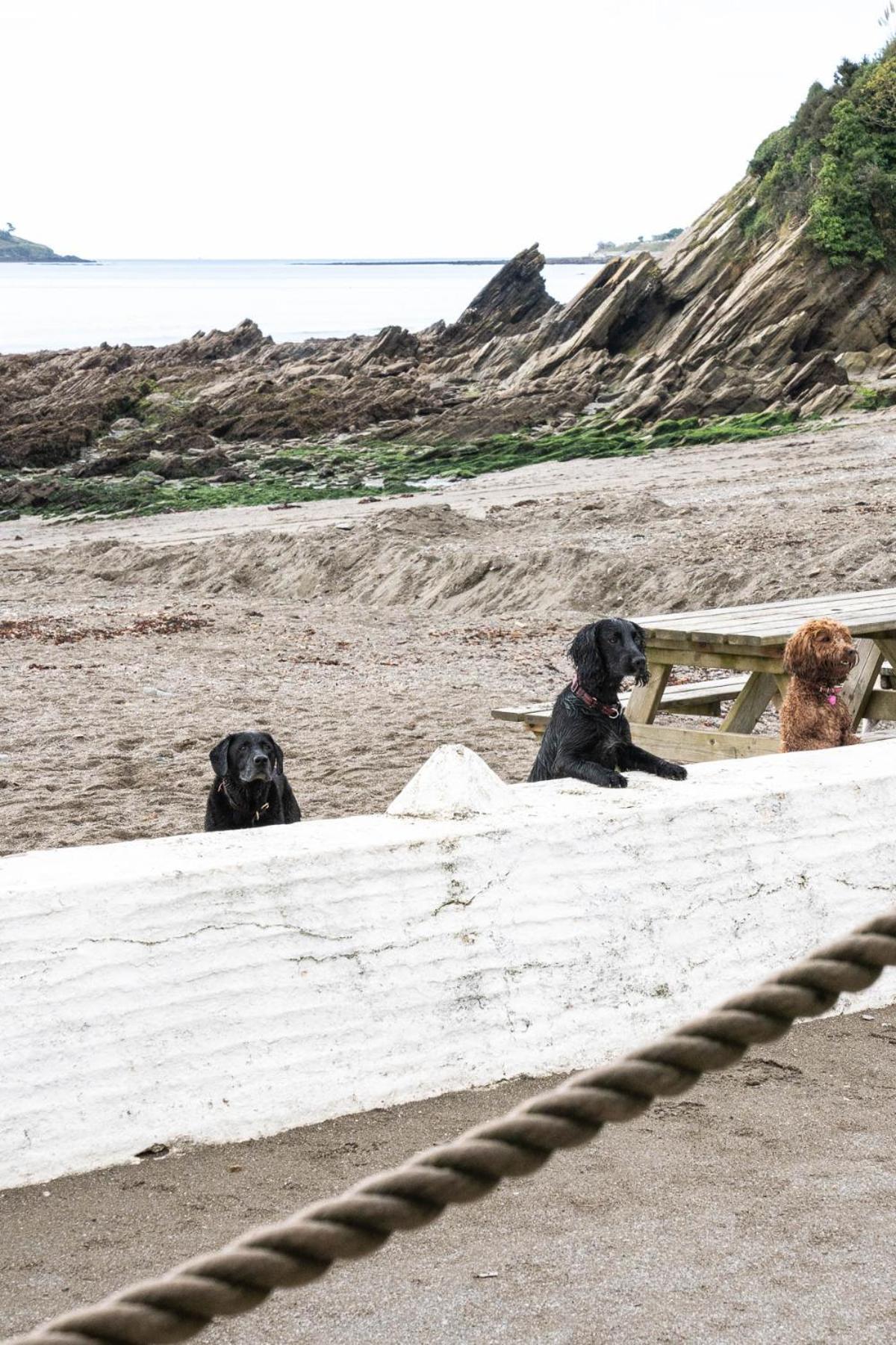 Pet Friendly Sea View Villa Millendreath Looe Pokój zdjęcie