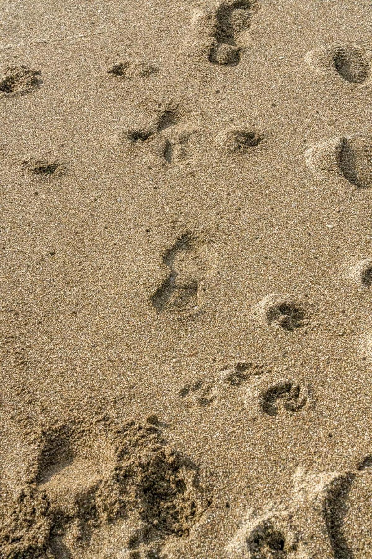 Pet Friendly Sea View Villa Millendreath Looe Pokój zdjęcie