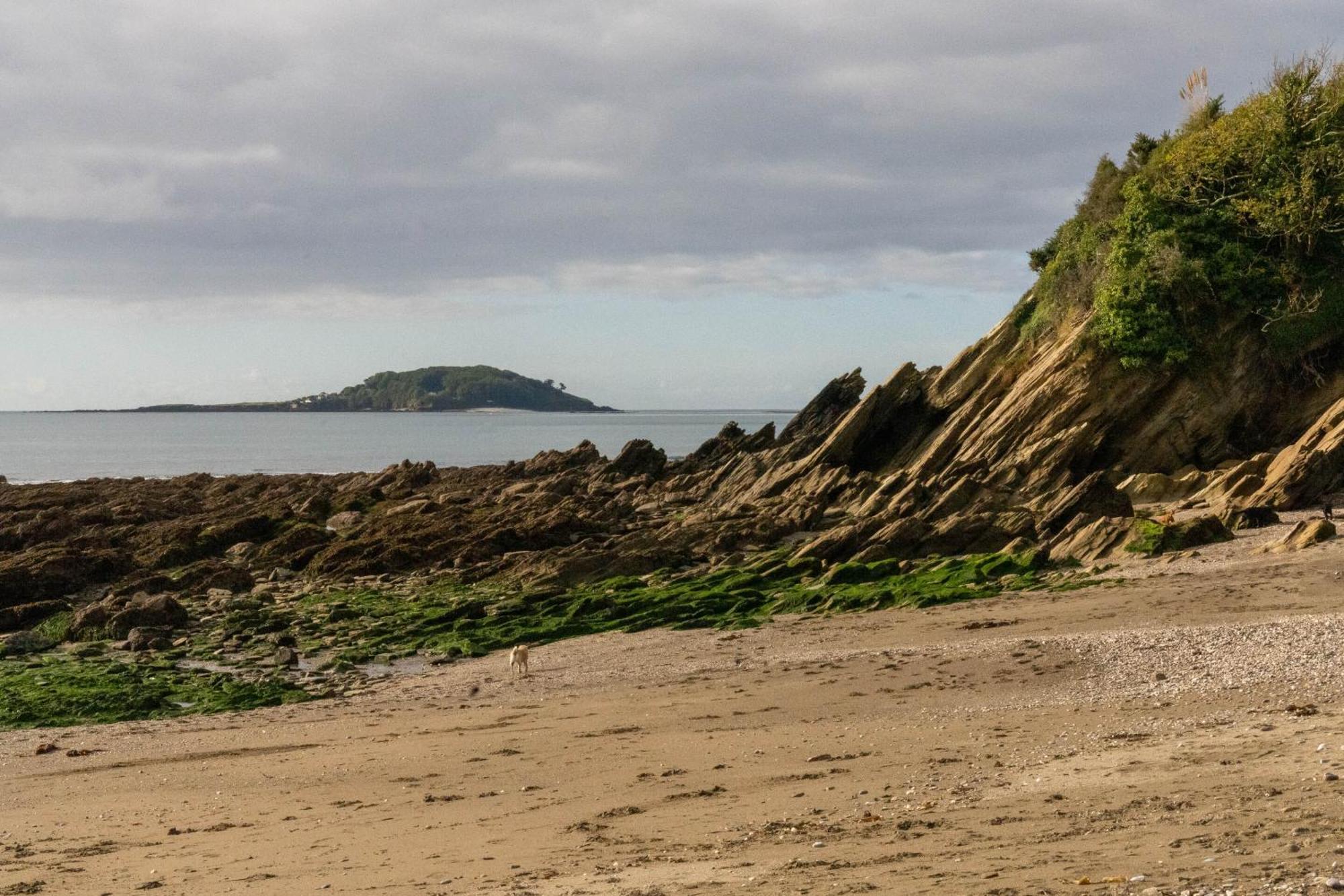 Pet Friendly Sea View Villa Millendreath Looe Pokój zdjęcie